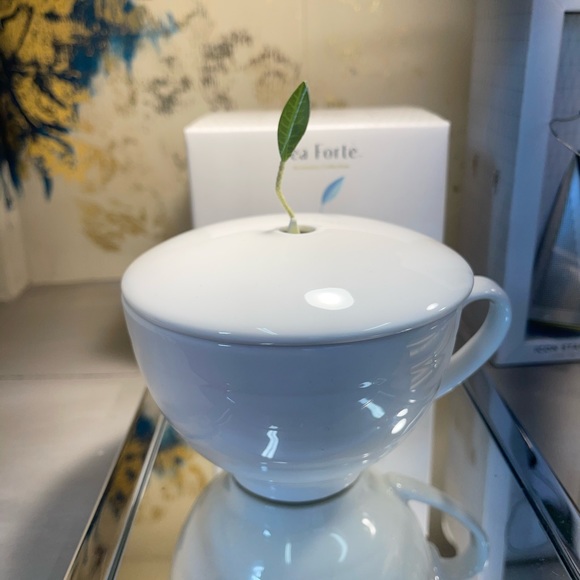 Tea Forte Cafe Cup in Bone White 2 new in box, 2 new without box - Picture 2 of 4